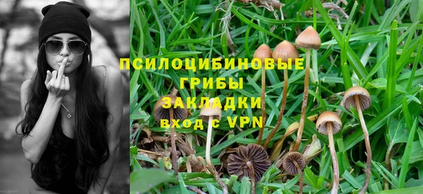 ALPHA PVP Кострома