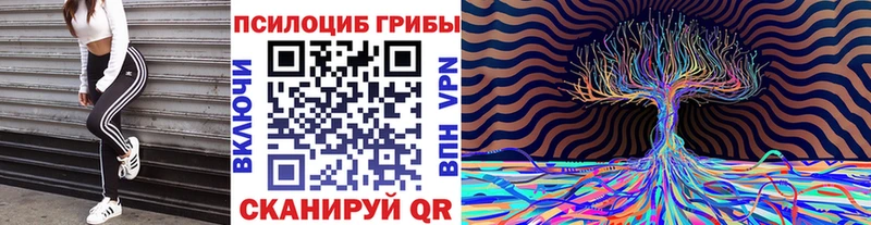 нарко площадка какой сайт  Елабуга  Галлюциногенные грибы Magic Shrooms 