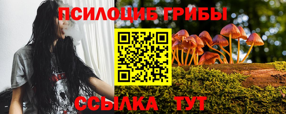 Псилоцибиновые грибы MAGIC MUSHROOMS  Галлюциногенные грибы ЛСД  Елабуга  Вход с VPN 