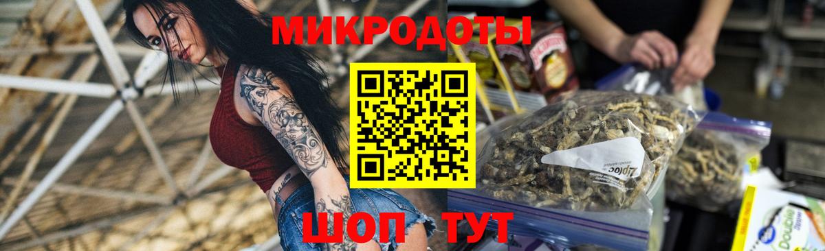 Псилоцибиновые грибы Psilocybine cubensis Елабуга