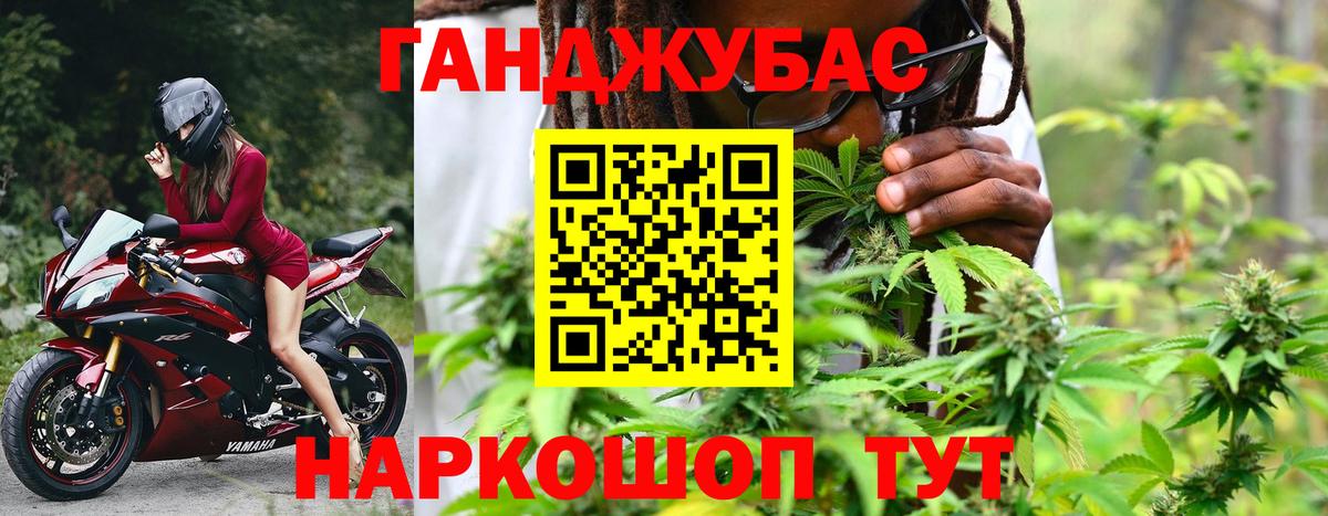 Бошки Шишки планчик Елабуга